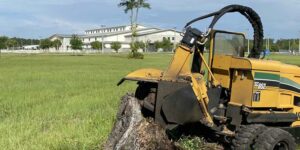 stump grinding